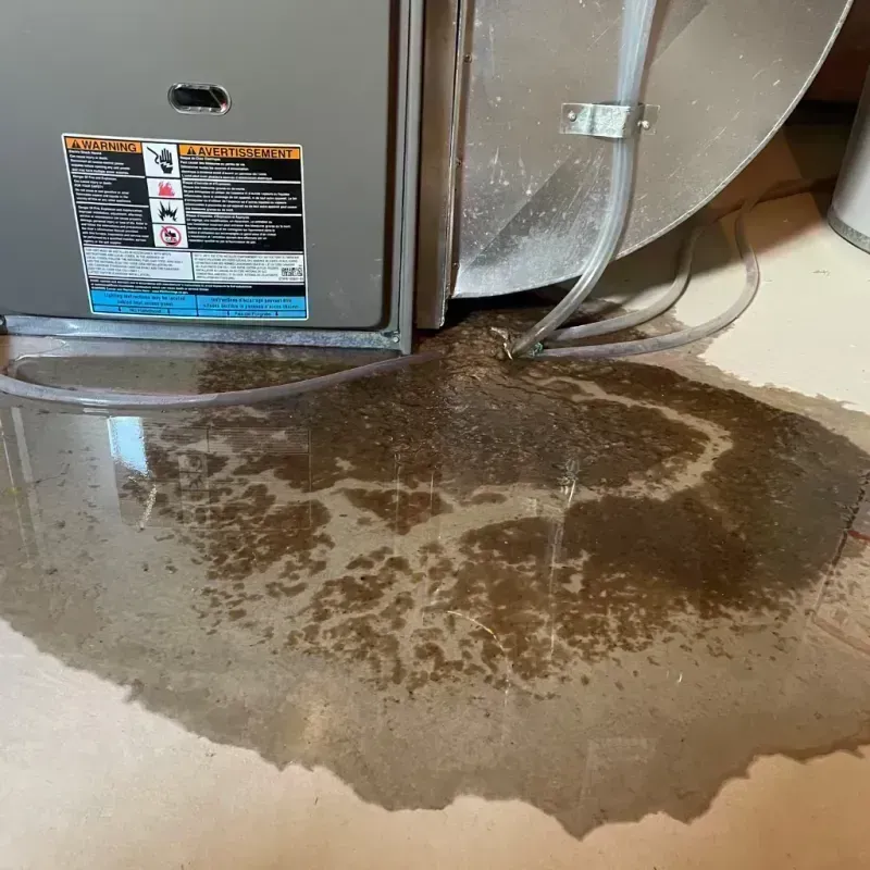 Appliance Leak Cleanup in Cerro Gordo, IL